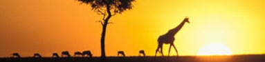 Destination Image