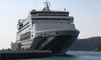 Maasdam